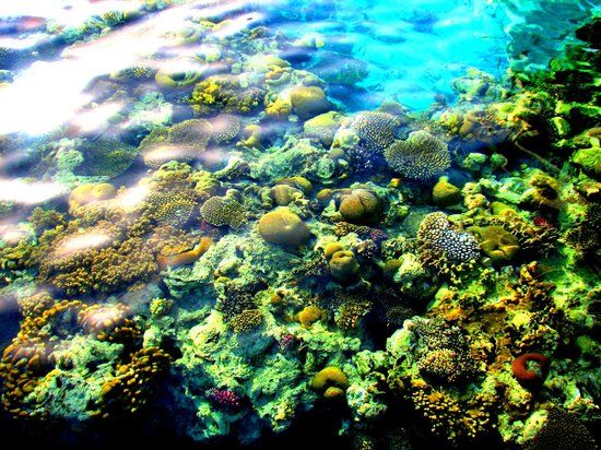 Eilat's Coral Beach