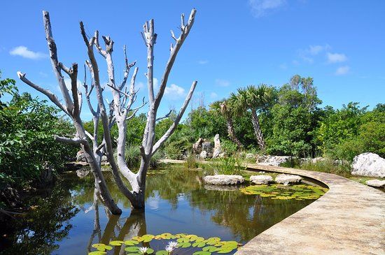 Leon Levy Native Plant Preserve