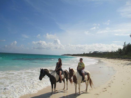 Oceanview Farm