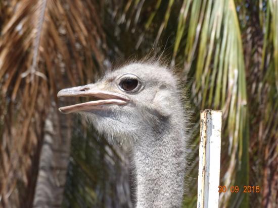 Curacao Zoo & Botanical Garden