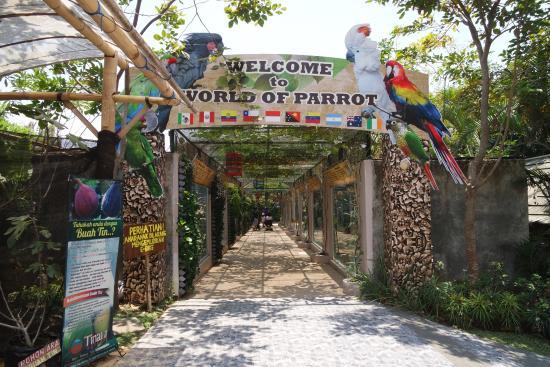 Eco Green Park