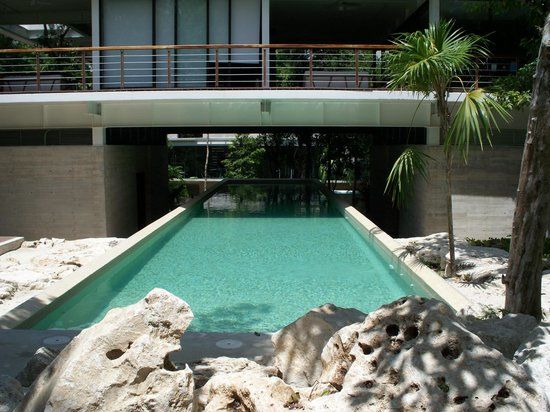 TAO Wellness Center
