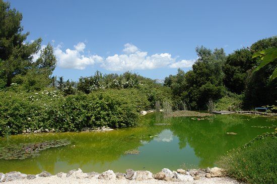 Cephalonia Botanica