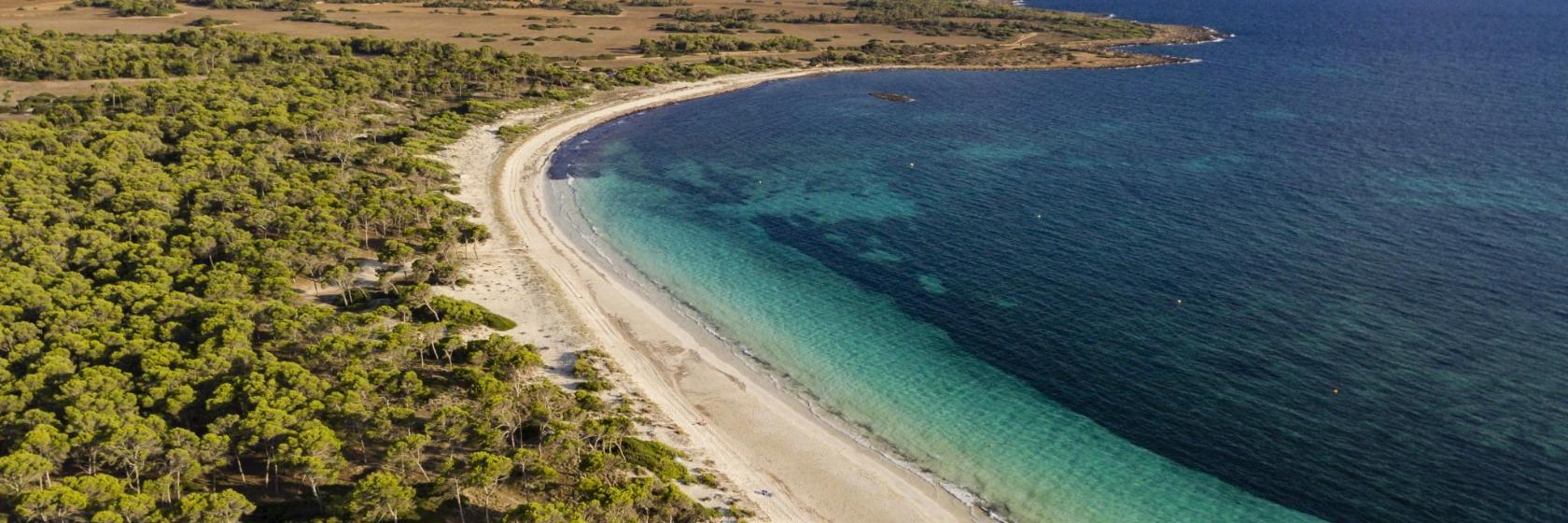 Plage d'Es Carbó