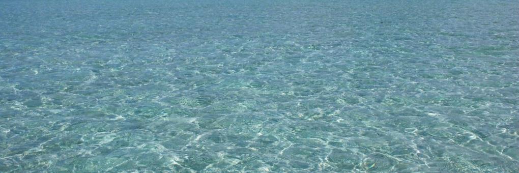Maragogi Beach