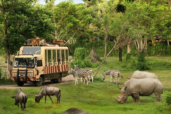 Bali Safari et parc marin
