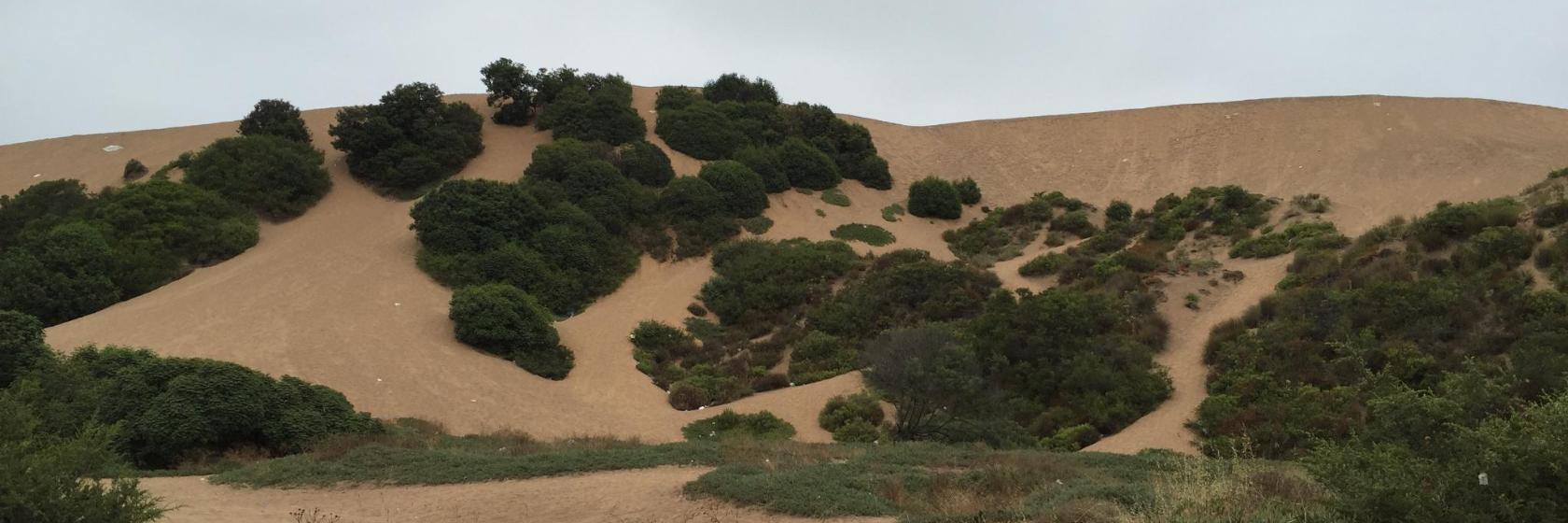 Concon Sand Dunes