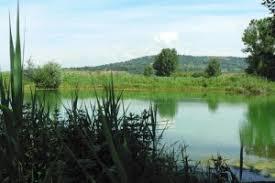 Lago di Vladimonio