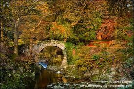Foley's Bridge