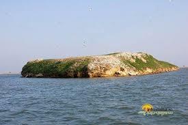 Isla Bisericuta