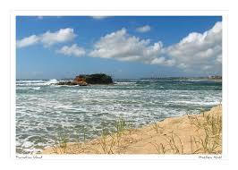 Pincushion Island
