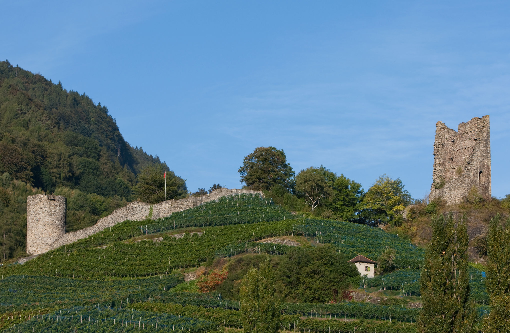 Freudenberg Castle