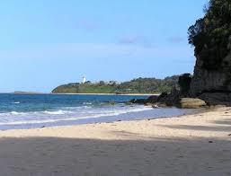 Jenny Dixon Beach