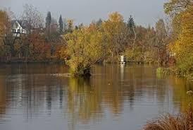 Stadtweiher