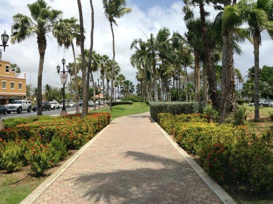 Wilhelmina Park
