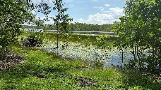 Manton Dam