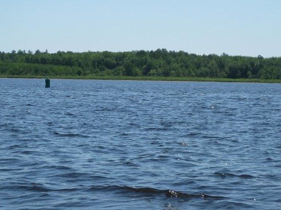 Miramichi River