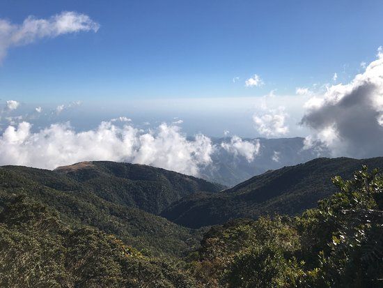 Blue Mountains