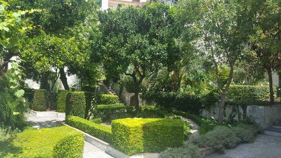 The Garden of Minerva
