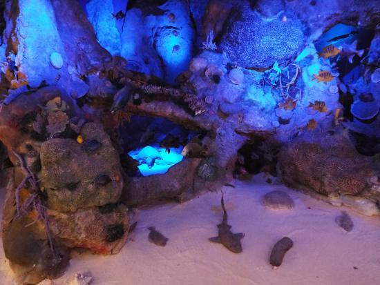 Museum of Cozumel