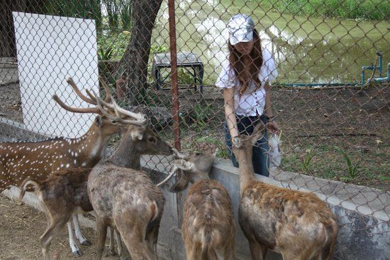 Lopburi Zoo
