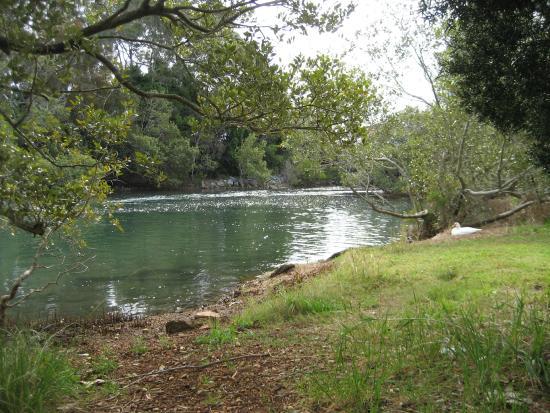 Kooloonbung Creek Nature Park