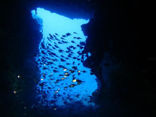 Manza Dream Hole