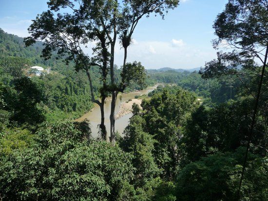 Parc national de Taman Negara