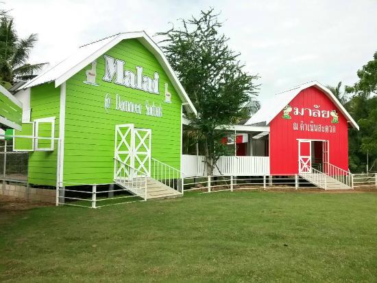 Malai Ostrich Farm