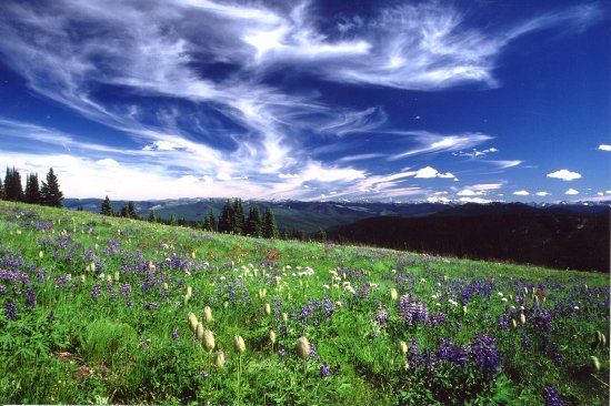 Manning Provincial Park