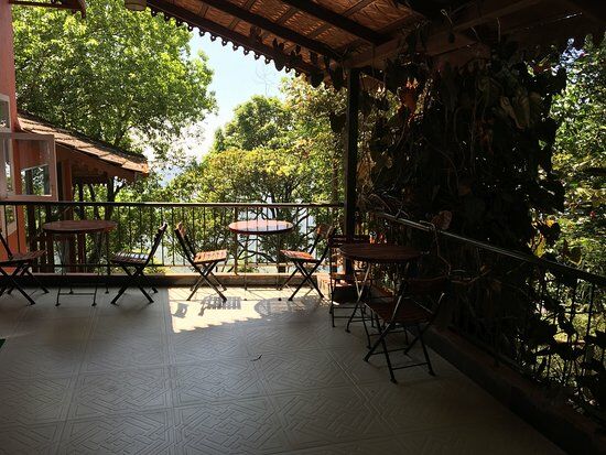 Tea Valley